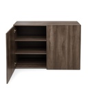 Flex Cabinet B120-2 DOOR-003-01-H85CM
