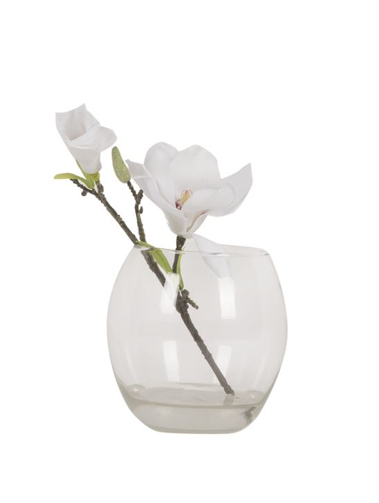 Glass Pot With Flower