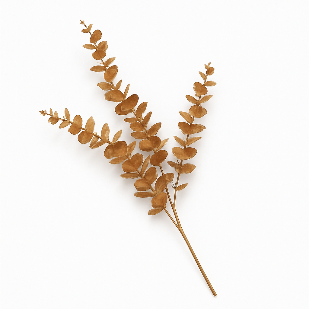 FC-Cleaptus