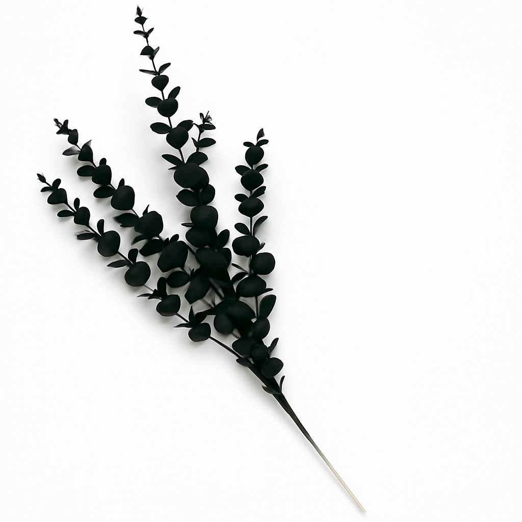 FC-Cleaptus