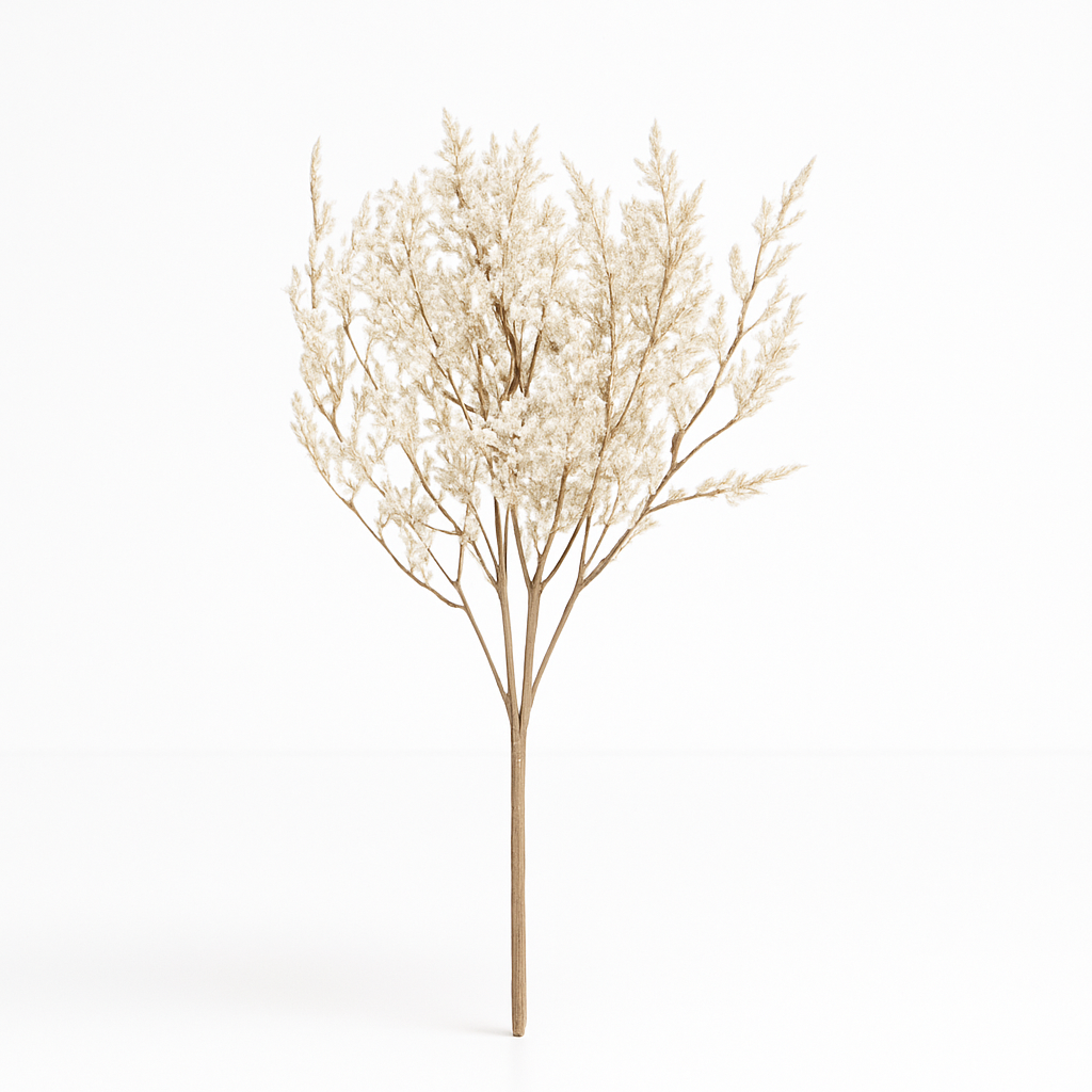 FC-Limonium flower 027