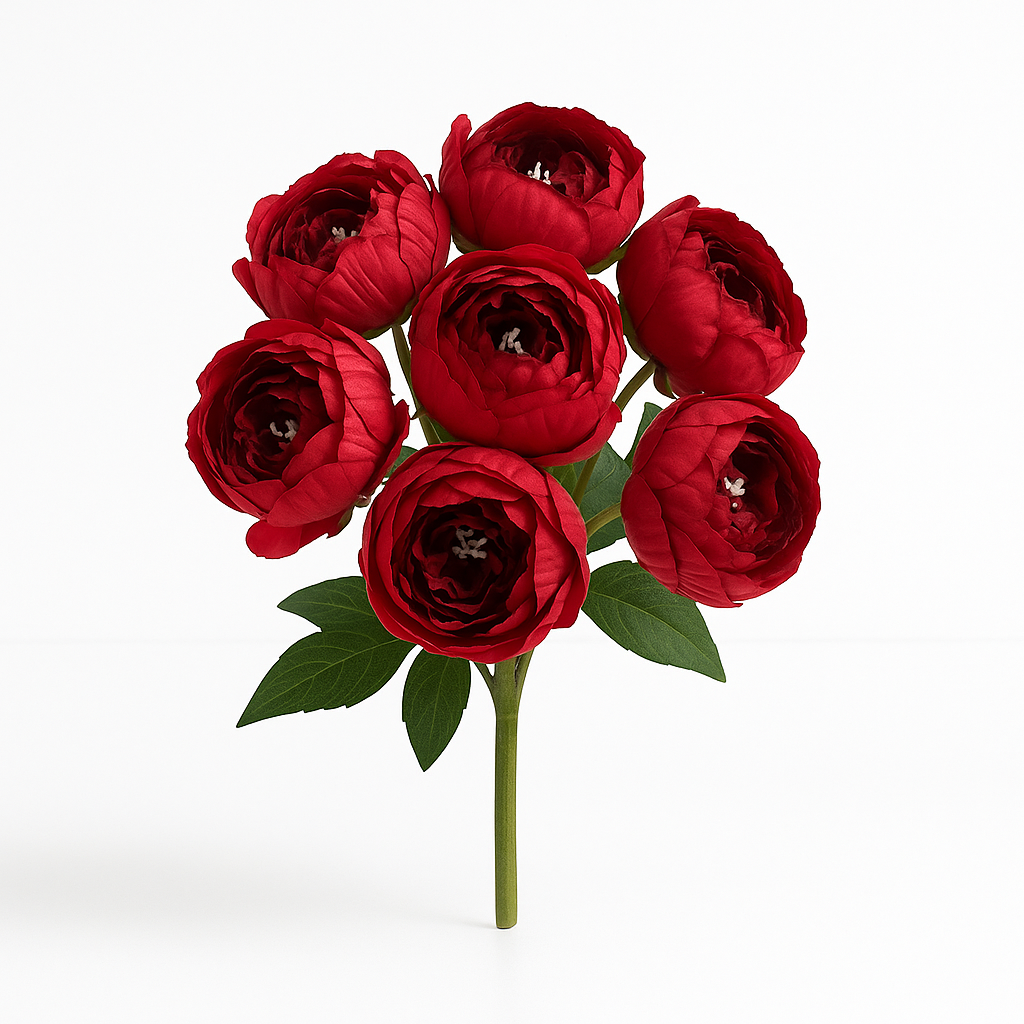 FC-Peony