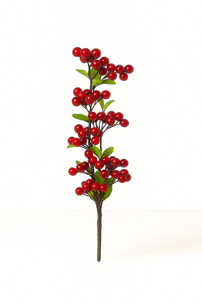 FC-Cherry 