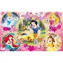 DB-Clementoni - Supercolor Disney Princess Puzzle 2Χ60 Pcs 