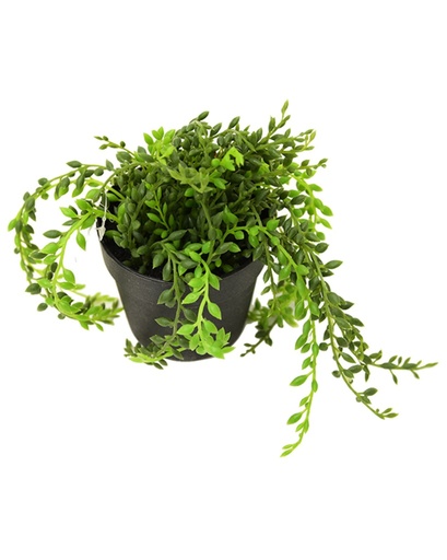 [P11864] Artificial Succulent 44F