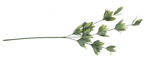 [X36126] Grass 14*14*61cm