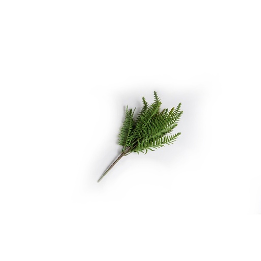[X36118] Grass Bush