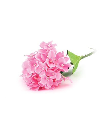 [P02832] نبات اصطناعي