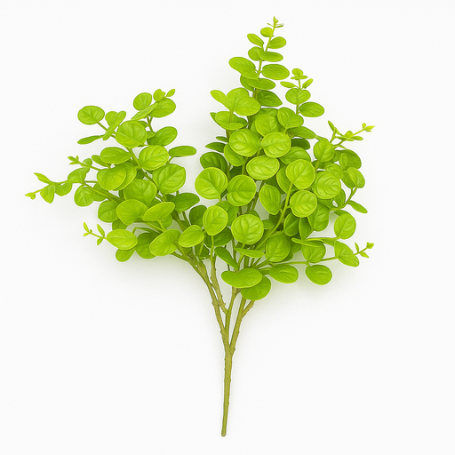 [X137156] FC-Soft Green Eucalyptus 02