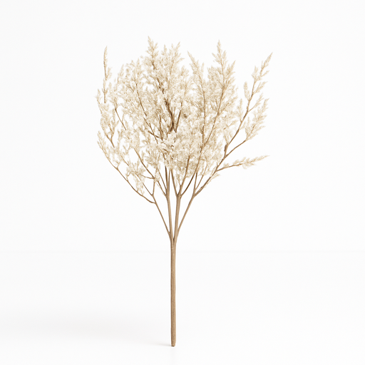 [X137161] FC-Limonium flower 027