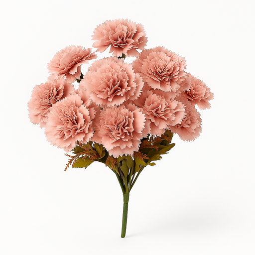 [X137192] FC-Carnation Flower