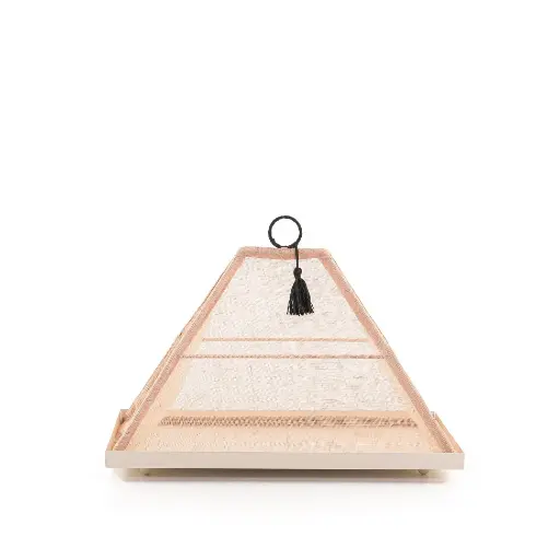 [X138857] CF-Rectangular shape steel tray beige color small