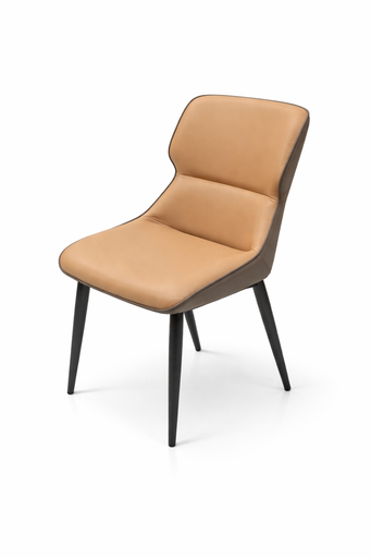 TW-Comfort Dining Chair 